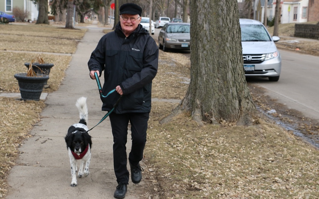 Is Walking Good For Dogs With Congestive Heart Failure